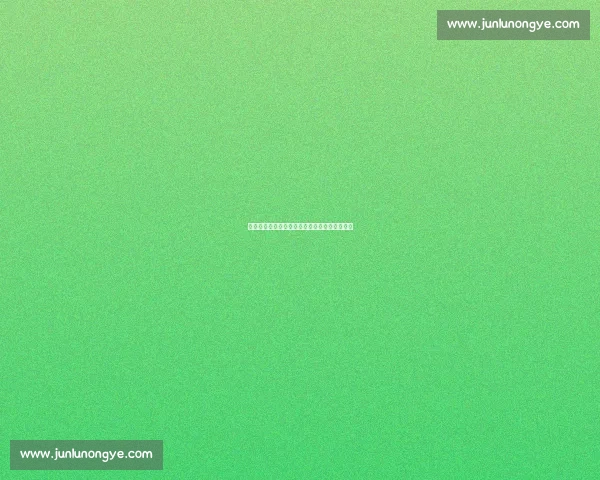 能力再强也抵不过运气？成龙的逆袭史揭示真相