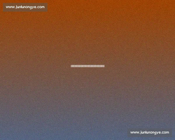 致命鞋患拖累！郑钦文因装备问题止步女王杯半决赛