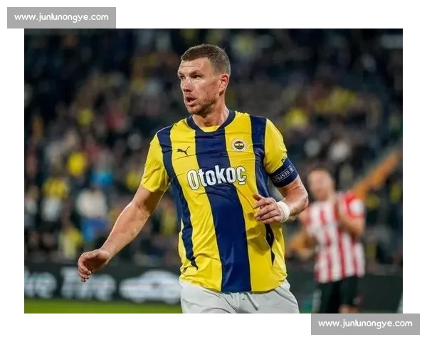 哲科抵意完成体检！自由身加盟佛罗伦萨签约在即