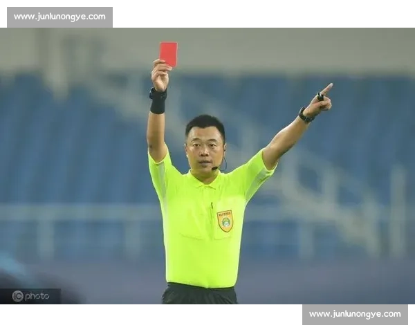 新鹏城 vs 三镇补赛裁判确定：黄翼主裁，邢琦担任 VAR