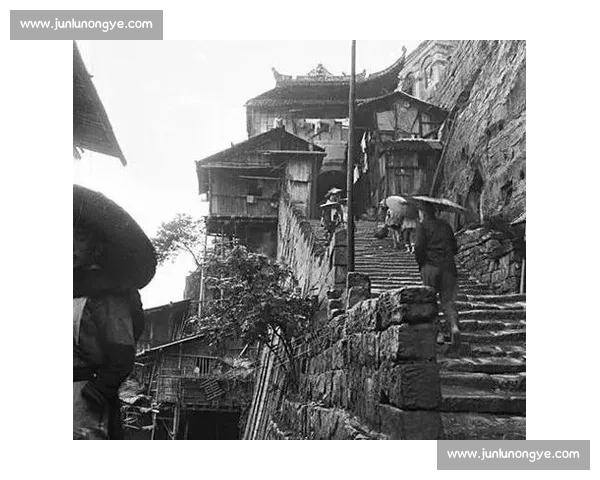 好莱坞弃之十年，中国拍出热血逆袭：重庆码头工的橄榄传奇